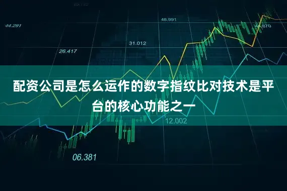 配资公司是怎么运作的数字指纹比对技术是平台的核心功能之一